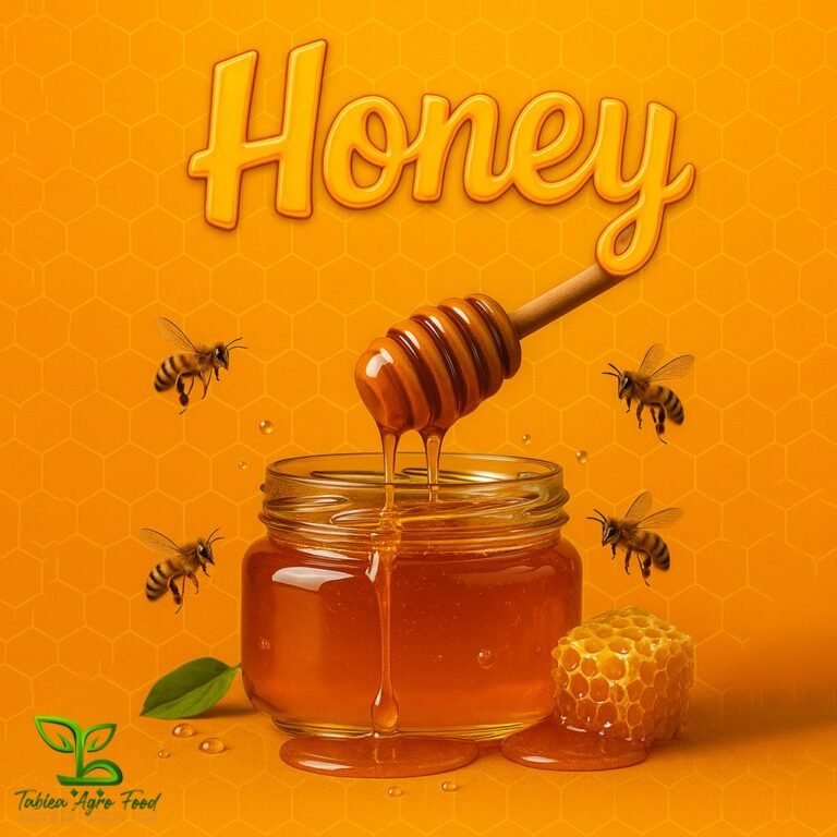 WhatsApp Image 2025-11-27 at 12.34.15 AM